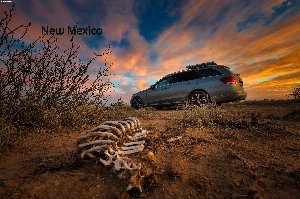 new mexico-Bearbeitet-Bearbeitet